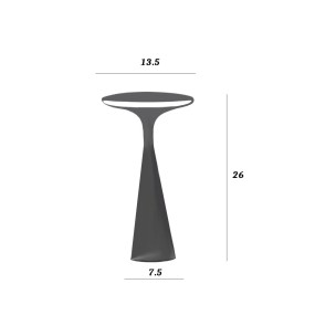 Perenz Lampenschirm ELLIOT 8118 CT