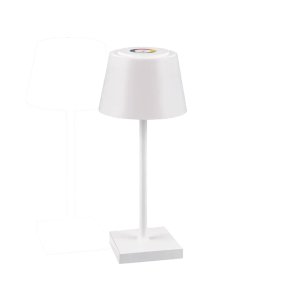 Abat-jour esterno Trio lighting SANCHEZ R54126131 IP44