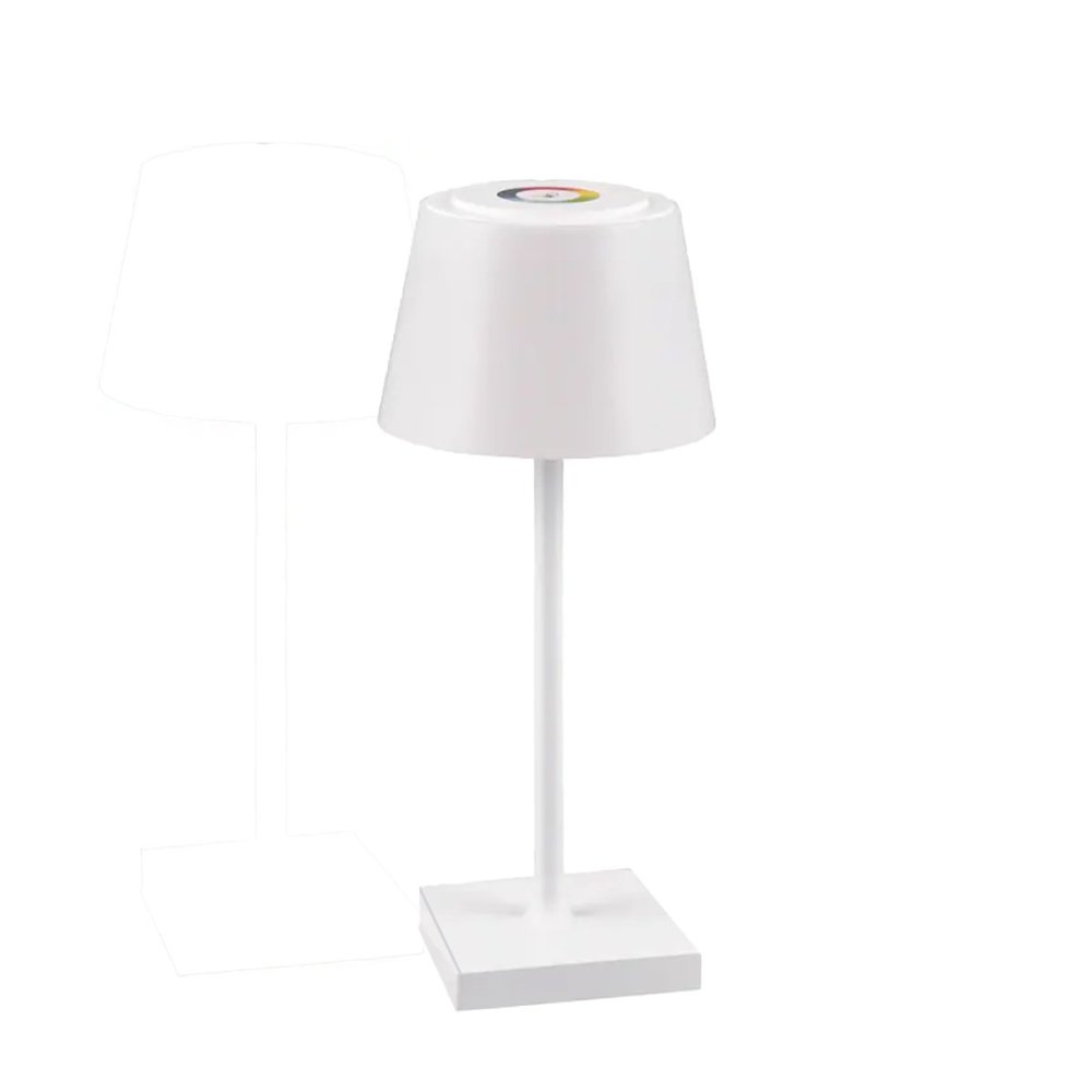 Abat-jour esterno Trio lighting SANCHEZ R54126131 IP44