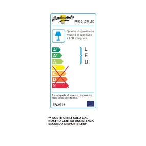 Lampadina PAR30 10W LED Illuminando