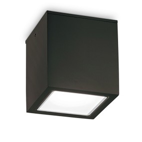 Plafoniera esterno Ideal Lux TECHO 251561 251554 251578