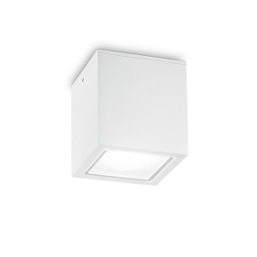 Plafoniera esterno Ideal Lux TECHO SMALL 251561 251554 251578