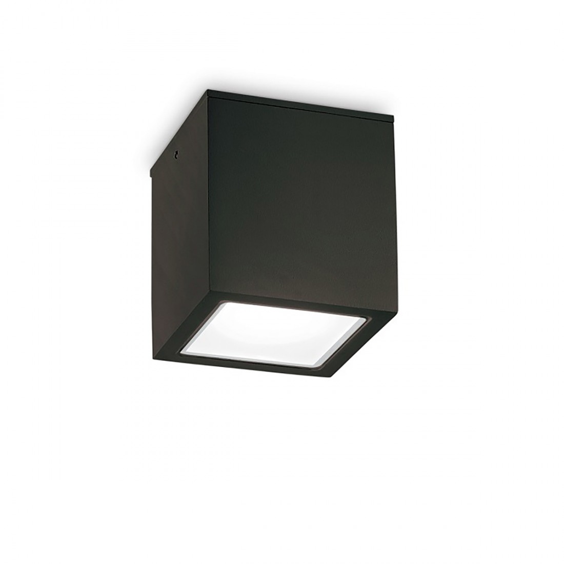 Plafonnier extérieur moderne Ideal Lux TECHO GU10 LED 251561 251554 251578